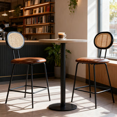 Kalamazoo Cane Back Counter Stools Set of 2