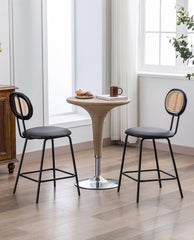 Kalamazoo Cane Back Counter Stools Set of 2